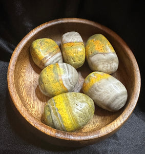 Bumblebee Jasper Tumble