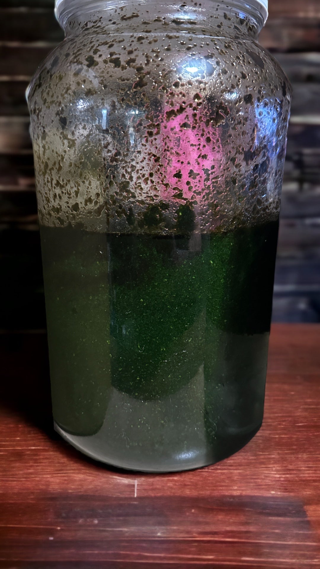 Tincture Blends: Tummy Tincture : Calms Gas, Heartburn, Nausea