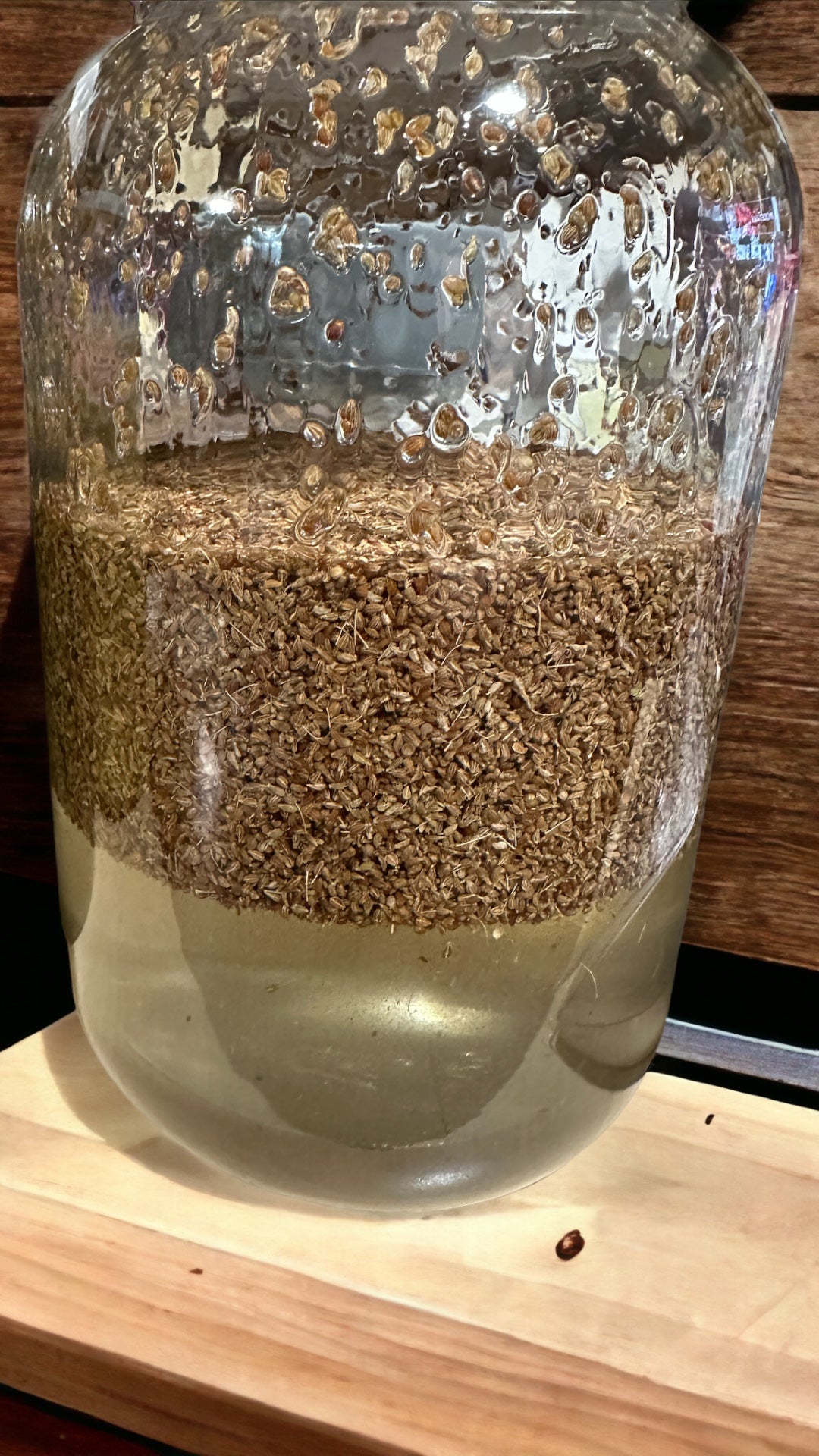 Tincture Blends: Tummy Tincture : Calms Gas, Heartburn, Nausea
