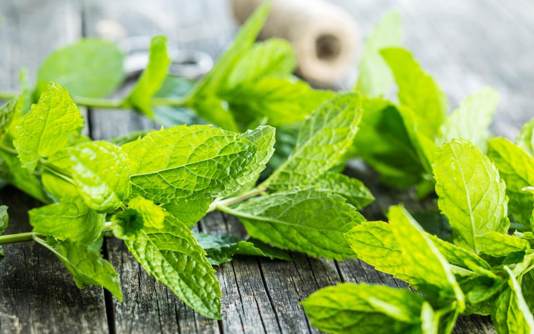 Tincture Blends: Tummy Tincture : Calms Gas, Heartburn, Nausea